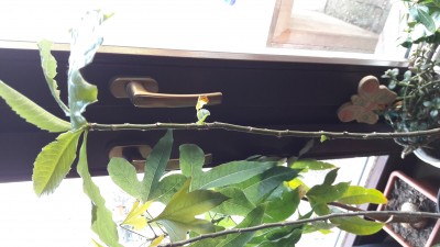 20170424_185732.jpg