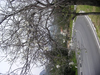 2017-02-28 11.26.27.jpg