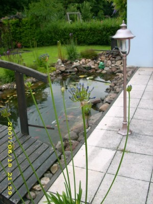 Blick zum Wasserfall.JPG