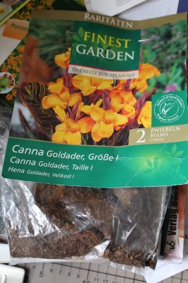 Canna_Goldader_Knollen (1).JPG