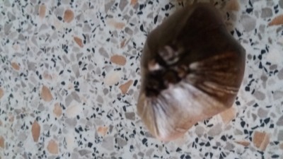 20170504_150344.jpg