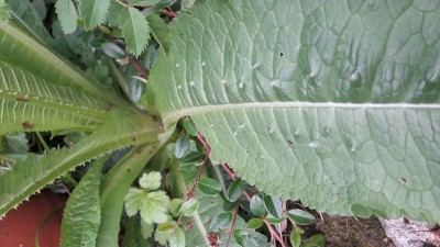 20170507_171859.jpg