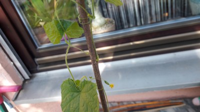 20170506_093930.jpg