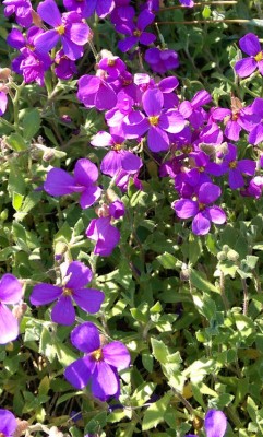 IMAG0029.jpg