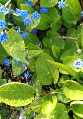 IMAG0035.jpg