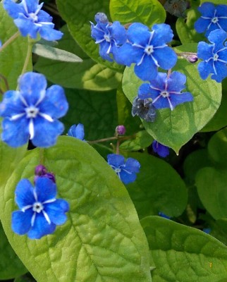 IMAG0036.jpg
