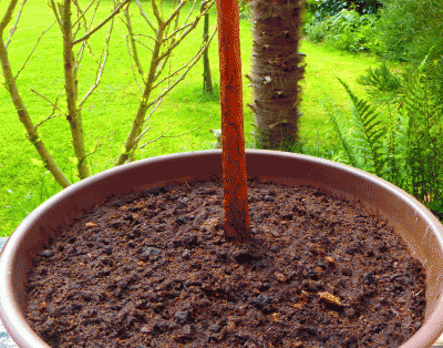 P1040566.gif