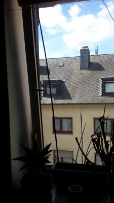 20170513_121709.jpg