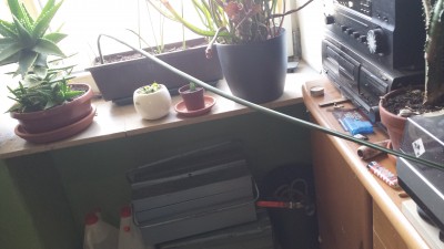 20170513_121740.jpg