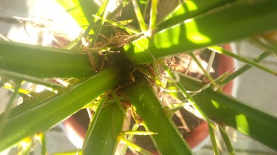 IMG_20170517_180846.jpg