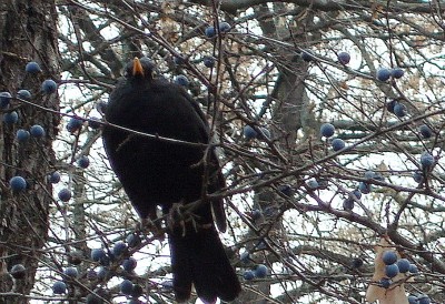 27.11.2007 mein block.jpg