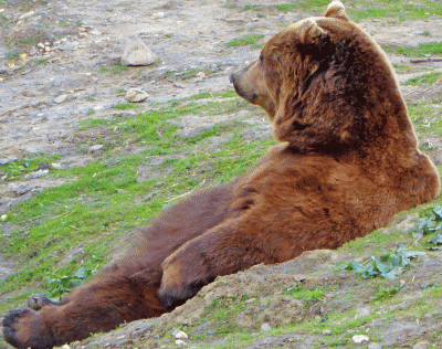 P1040379.gif