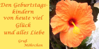 Ohne Titel-1 Kopie.jpg