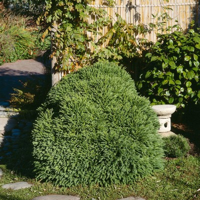 1340_big.jpg