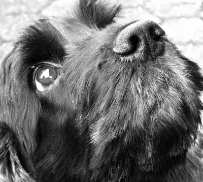 P1040857.gif