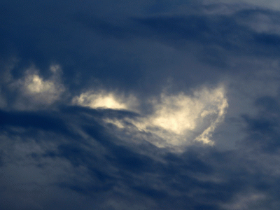 P1040871.gif