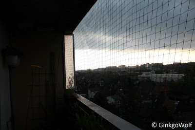 IMG_9552.JPG
