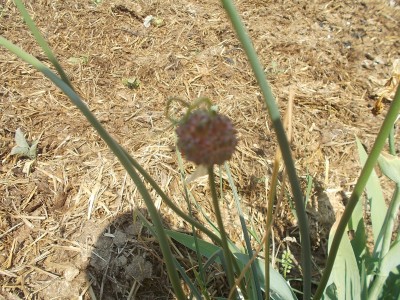 DSCN3160.JPG