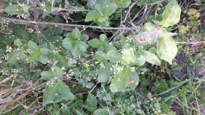 20170527_145541.jpg
