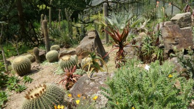 IMG-20170605-WA0009[1].jpg