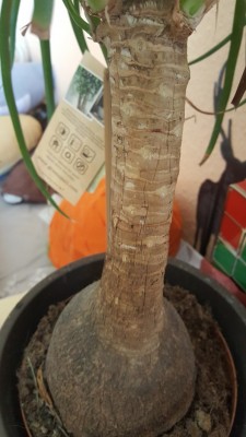 20170611_105102.jpg