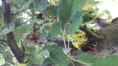 2017-06-11 12.51.40.jpg