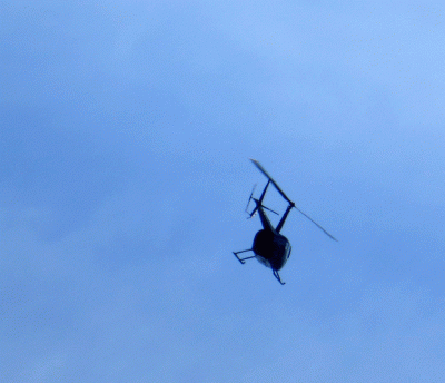 P1050183.gif