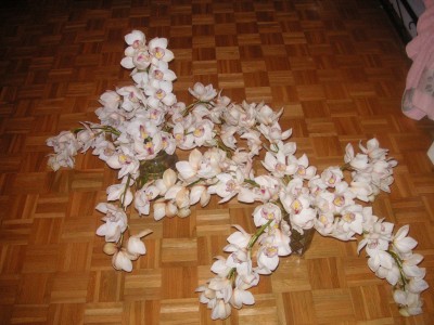 Cymbidium 002.JPG