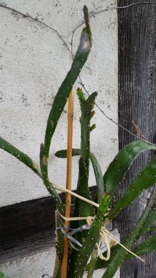 20170627_123819.jpg