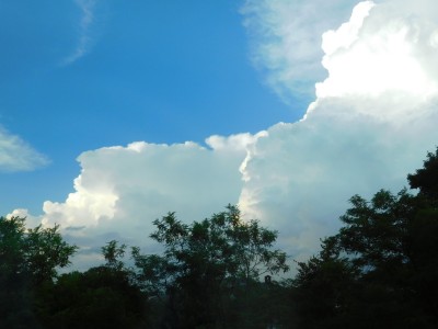 DSCN3373.JPG