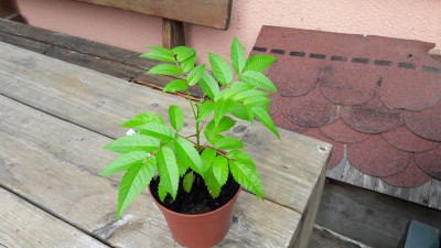 20170712_101140.jpg