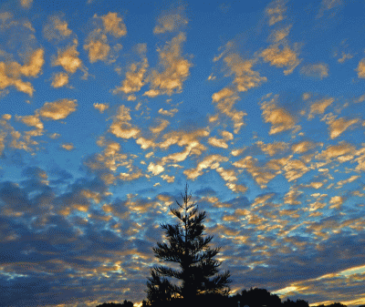 P1050501.gif