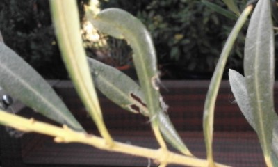 20170626_201014.jpg