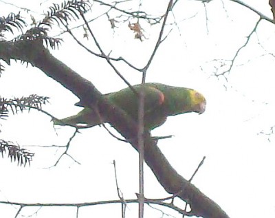 30.11.2007 bandido4.jpg