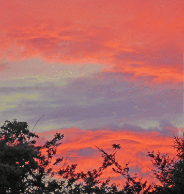 P1050486.gif
