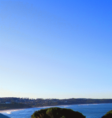 IMG_3738.gif