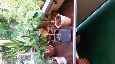 20170718_172256.jpg