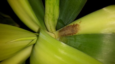 20170723_101423.jpg