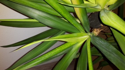 20170723_101324.jpg