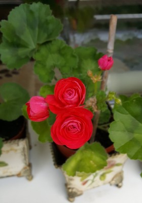 20170702_115813.jpg