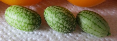 IMG_1199k.jpg