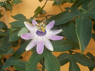 DSCN3184.JPG