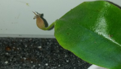 20170814_081917.jpg