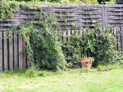 PICT0039.JPG