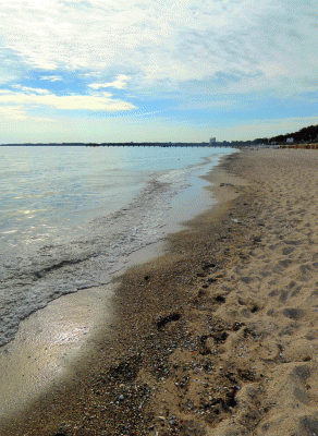 P1050667.gif