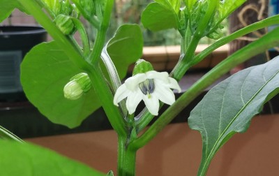 20170827_101813.jpg