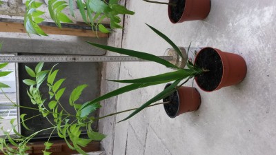 20170914_102604.jpg