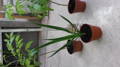 20170914_102621.jpg