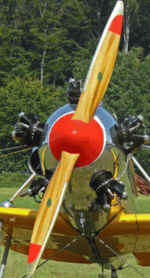 P1060332.gif