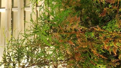 20170910_102231.jpg
